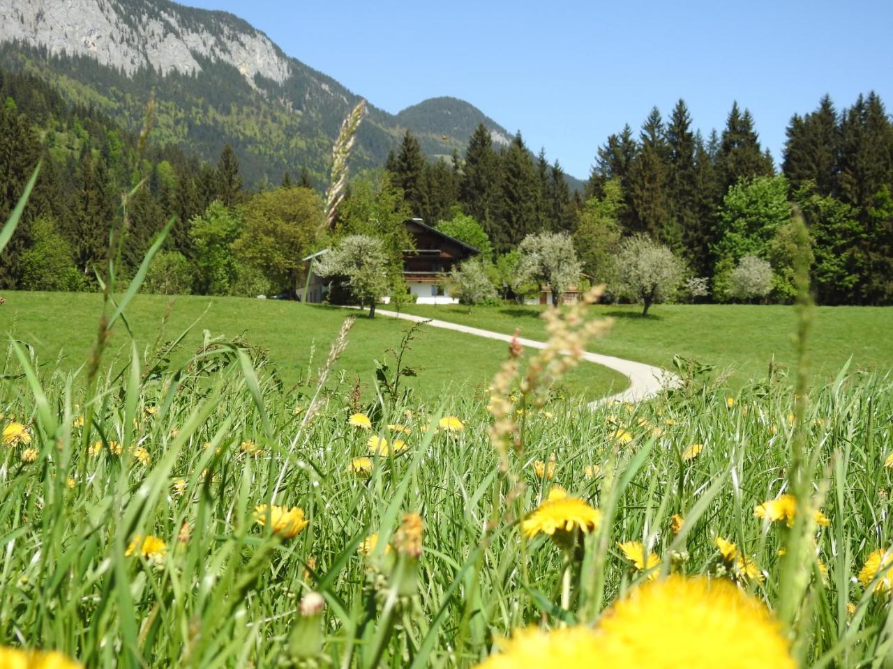 Bauernhof Hintenberg Itter Bagian luar foto