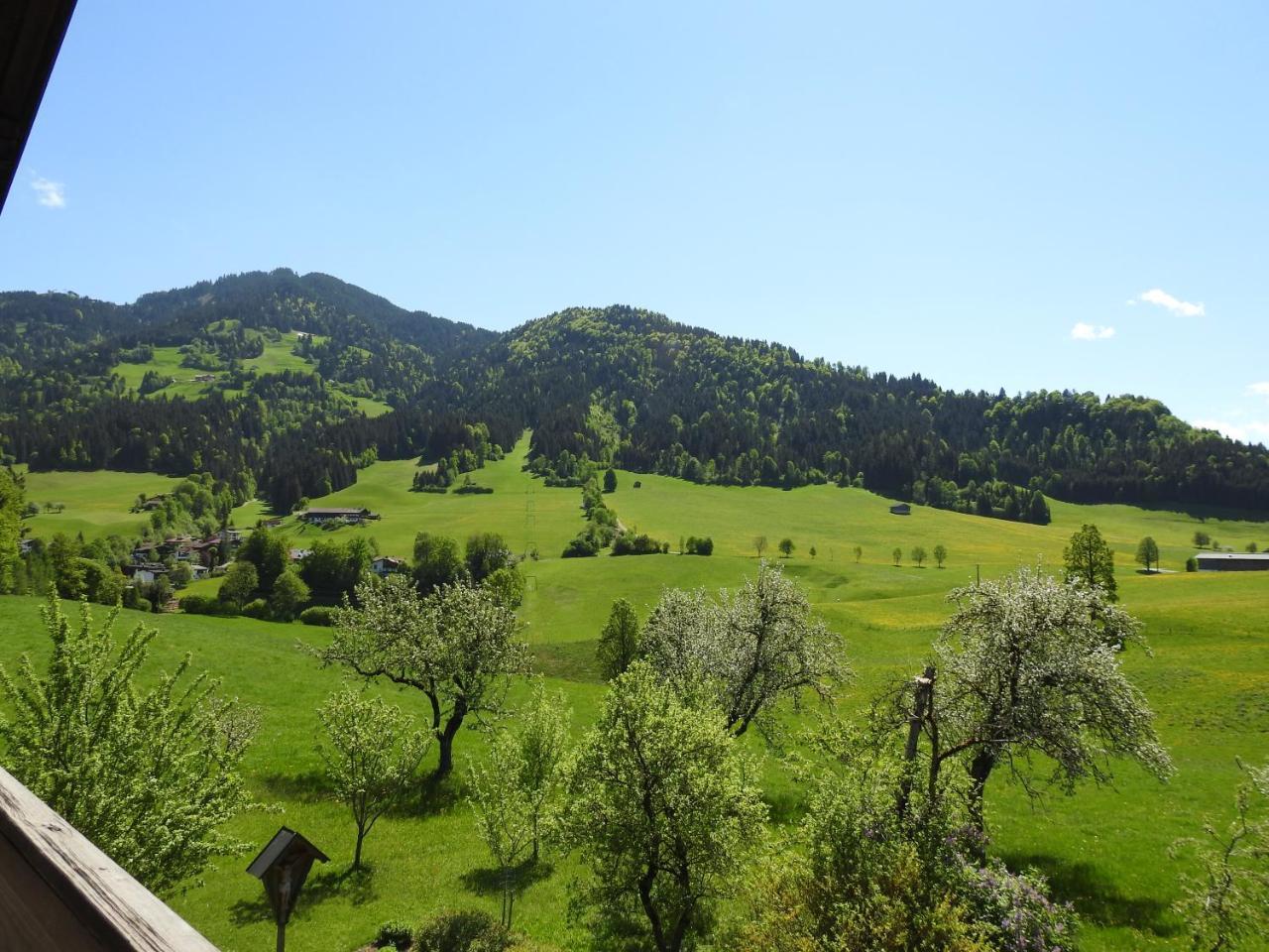 Bauernhof Hintenberg Itter Bagian luar foto